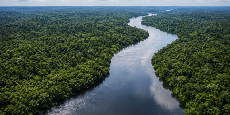 Edital vai investir R$ 4 milhões em projetos de adaptação climática no Brasil