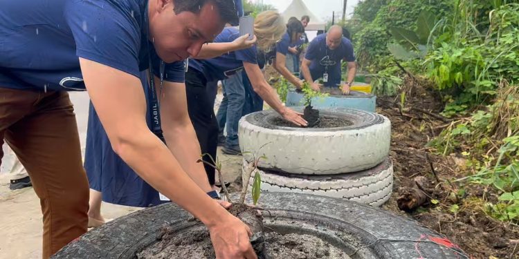 Prefeitura transforma área degradada em jardim ecológico e reforça ações da ‘Semana do Meio Ambiente’
