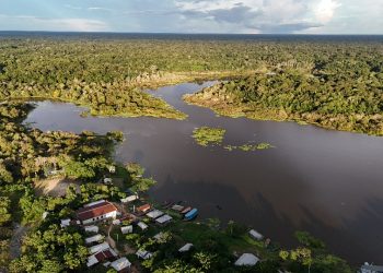 Atuação em defesa da Amazônia leva FAS a disputar prêmios nacionais