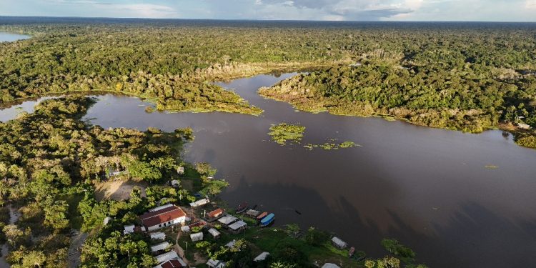 Atuação em defesa da Amazônia leva FAS a disputar prêmios nacionais