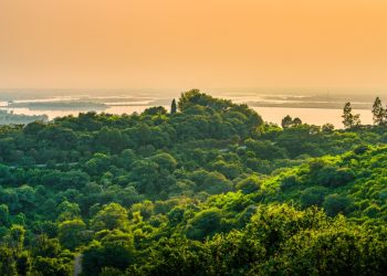 COP30 lança aliança internacional para acelerar adaptação climática e ampliar investimentos