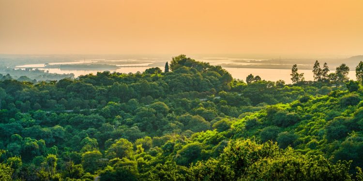 COP30 lança aliança internacional para acelerar adaptação climática e ampliar investimentos