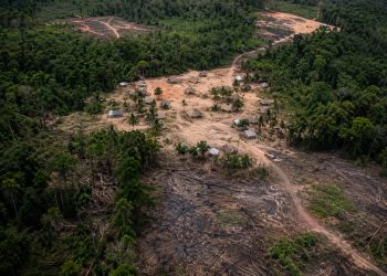 Coiab alerta para avanço da violência contra indígenas na Amazônia após divulgação do Atlas da Violência 2026