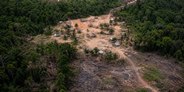 Coiab alerta para avanço da violência contra indígenas na Amazônia após divulgação do Atlas da Violência 2026