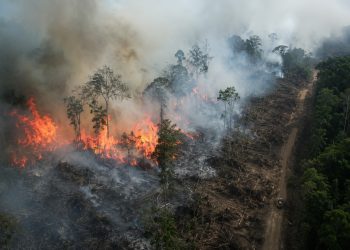 Governo federal repassa R$ 337 milhões para combate a incêndios e desmatamento