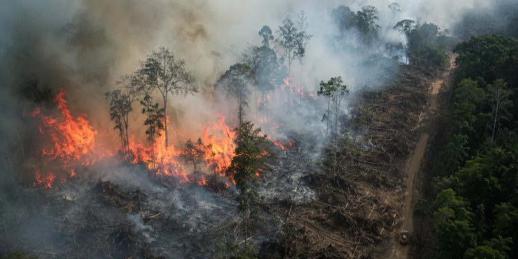 Governo federal repassa R$ 337 milhões para combate a incêndios e desmatamento
