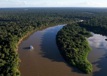 Desmatamento no Amazonas cai 57% nos cinco primeiros meses de 2026, aponta Inpe