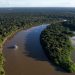Desmatamento no Amazonas cai 57% nos cinco primeiros meses de 2026, aponta Inpe