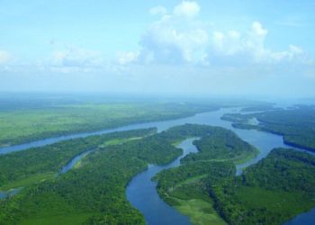 Governo do Brasil lança edital de concessão da Floresta Nacional de Balata-Tufari e amplia manejo sustentável na Amazônia