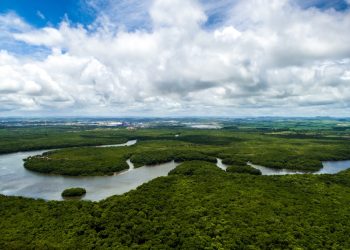 Amazonas atualiza regras para regularização de territórios de povos indígenas e comunidades tradicionais