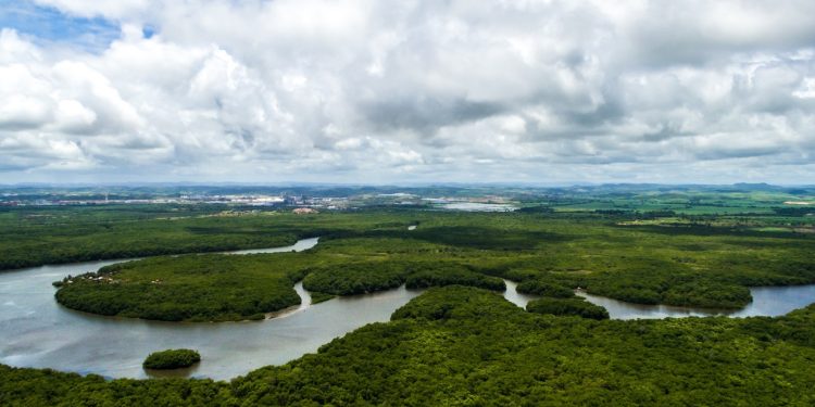 Amazonas atualiza regras para regularização de territórios de povos indígenas e comunidades tradicionais