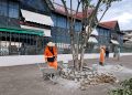 Prefeitura de Manaus atua em preparação para o aniversário de 143 anos do mercado Adolpho Lisboa
