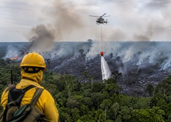 Brasil registra maior investimento da história para combate ao desmatamento e incêndios florestais