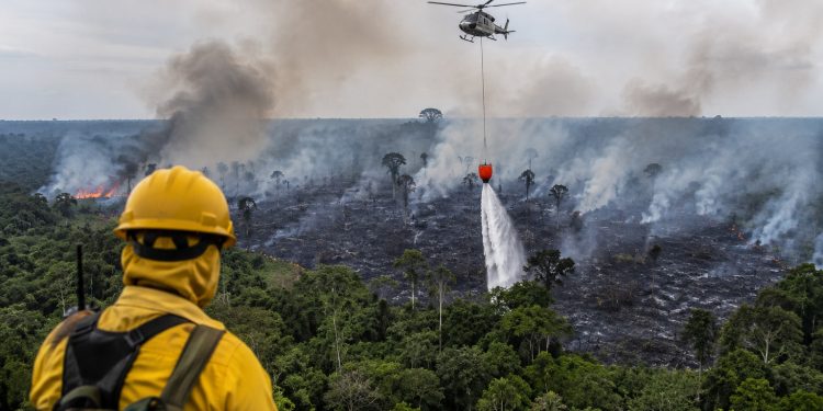 Brasil registra maior investimento da história para combate ao desmatamento e incêndios florestais