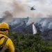 Brasil registra maior investimento da história para combate ao desmatamento e incêndios florestais