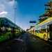 Capital paulista reforça transporte sustentável com mais 500 ônibus elétricos