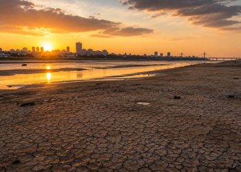 Serviço Geológico alerta para risco de nova seca histórica no Rio Negro em Manaus