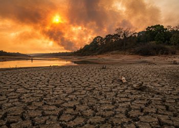 Boletim prevê El Niño muito forte e pode intensificar calor, seca e incêndios florestais no Brasil