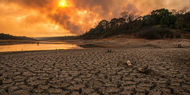 Boletim prevê El Niño muito forte e pode intensificar calor, seca e incêndios florestais no Brasil