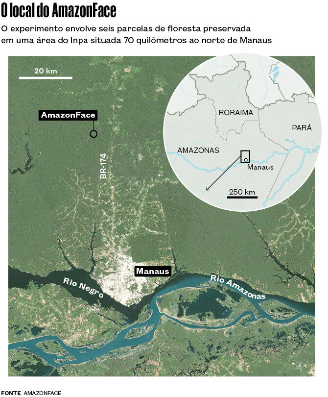 AmazonFace vai estudar como a Amazônia reage a ambiente rico em dióxido de carbono