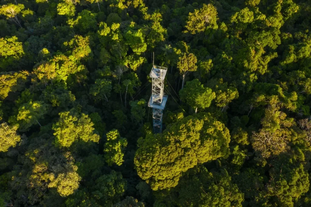 Conheça nove destinos turísticos que revelam a riqueza natural e cultural da Amazônia brasileira