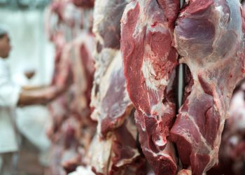 Exportações fortalecem mercado da carne bovina e impulsionam recuperação do preço do boi