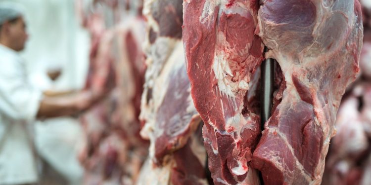 Exportações fortalecem mercado da carne bovina e impulsionam recuperação do preço do boi