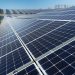 Energia solar cresce no Brasil e já permite economia de até 90% na conta de luz