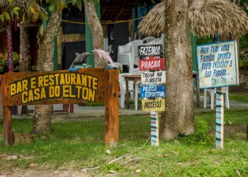 Bioeconomia transforma floresta em renda e impulsiona nova economia no Baixo Amazonas