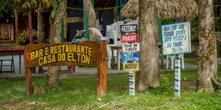 Bioeconomia transforma floresta em renda e impulsiona nova economia no Baixo Amazonas