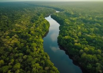 Bolívia e Reino Unido fortalecem parceria para ampliar investimentos em financiamento verde e ação climática