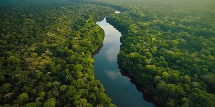 Bolívia e Reino Unido fortalecem parceria para ampliar investimentos em financiamento verde e ação climática