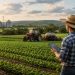 Brasil preserva, produz e ainda precisa contar essa história
