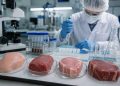 Pesquisa brasileira cria método para detectar fraudes e identificar diferentes tipos de carne
