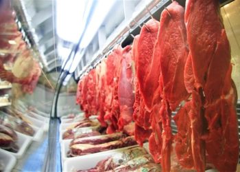 Exportações de carne bovina do Brasil batem recorde e somam US$ 9,85 bilhões no primeiro semestre