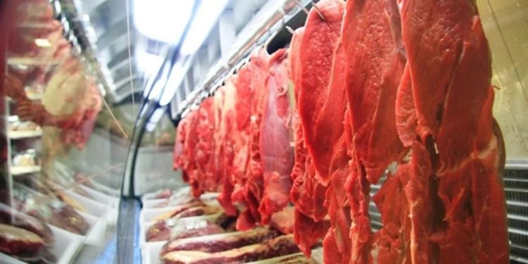 Exportações de carne bovina do Brasil batem recorde e somam US$ 9,85 bilhões no primeiro semestre