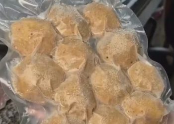 Universidade do Amapá desenvolve tecnologia para reduzir desperdício e gerar renda com resíduos de pescado