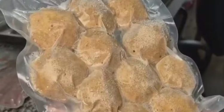 Universidade do Amapá desenvolve tecnologia para reduzir desperdício e gerar renda com resíduos de pescado