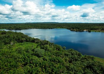Amazônia terá atividades em 36 unidades de conservação durante campanha nacional Um Dia no Parque