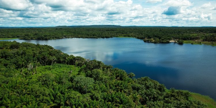 Amazônia terá atividades em 36 unidades de conservação durante campanha nacional Um Dia no Parque