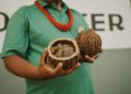 Programa EcoAm abre inscrições para chamada gratuita que conecta negócios da bioeconomia a mercados e investidores