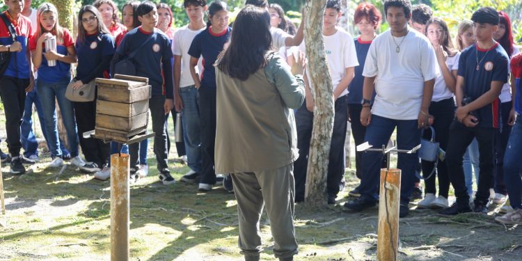 Estudantes da rede municipal participam de imersão em educação ambiental no Instituto Soka Amazônia