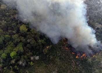 Pesquisa da Nature aponta risco de colapso gradual da Amazônia até o fim do século