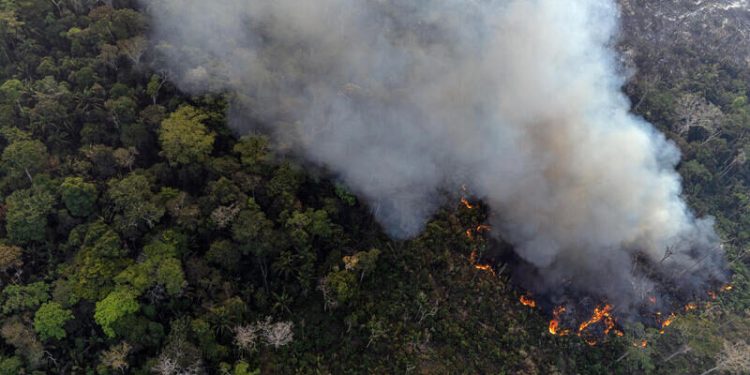 Pesquisa da Nature aponta risco de colapso gradual da Amazônia até o fim do século
