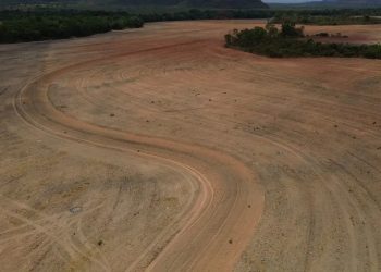 Estudo alerta que fim da Moratória da Soja pode acelerar desmatamento da Amazônia