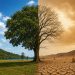 Estudo alerta que mudanças climáticas podem provocar em décadas impactos equivalentes a 3,3 milhões de anos nos trópicos