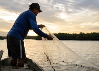 Câmara analisa projeto que amplia pagamento do seguro-defeso aos pescadores artesanais