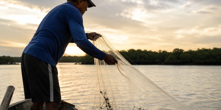 Câmara analisa projeto que amplia pagamento do seguro-defeso aos pescadores artesanais