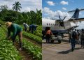 Senado vai debater nova Lei do Trabalho Rural e mudanças nas regras para voos na Amazônia