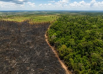 Área queimada no Brasil fica 31% abaixo da média histórica em 2025